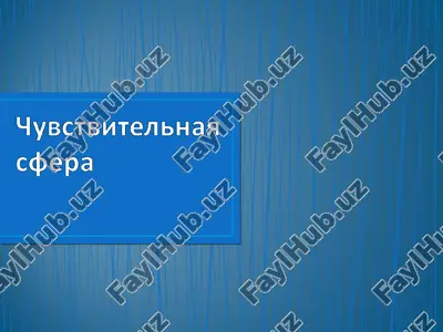uvbctbutca — PPT