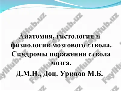 anatomiya, gistologiya i fiziologiya mozgovogo stvola — PPT