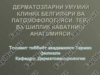 dermatozlar va teri anatomiyasi — PPT