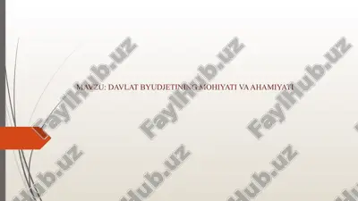 davlat byudjetining mohiyati va ahamiyati — PPTX