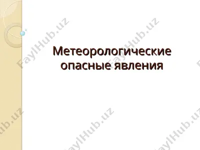 meteorologicheskie opasnie yavleniya — PPT