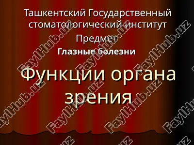 funktsii organa zreniya — PPT
