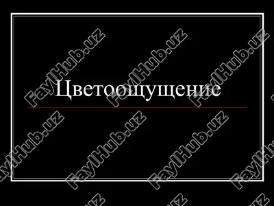 tsvetooshushenie — PPT