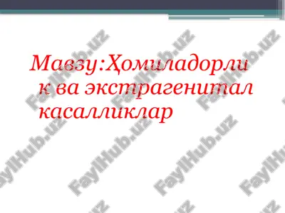 kamqonlik — PPTX