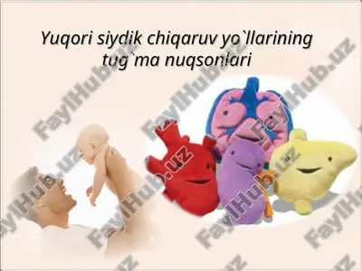 buyraklar va siydik yo'llari — PPT
