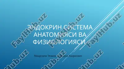 endokrin sistema anatomiyasi va fiziologiyasi — PPTX