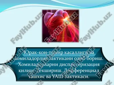 yurak-qon-tomir kasalligi va xomiladorlik taktikani olib borish — PDF