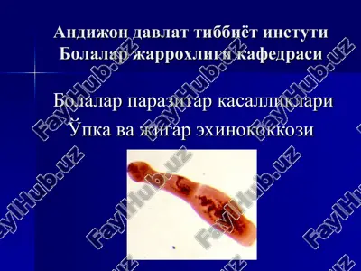 o'pka va jigar exinokokkozi — PPT