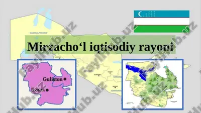 mirzacho’l iqtisodiy rayoni — PPTX