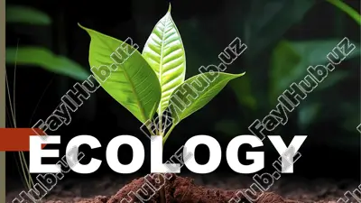 ekologiya — PPTX