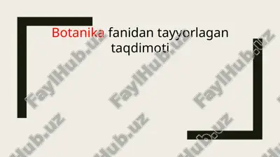 qarag’aytoifa o’simliklari — PPT