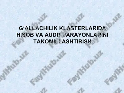 gʻallachilik klasterlarida hisob va audit jarayonlarini takomillashtirish — PPT