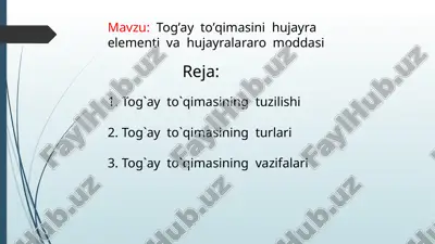 tog’ay to’qimasini hujayra elementi va hujayralararo moddasi — PPTX
