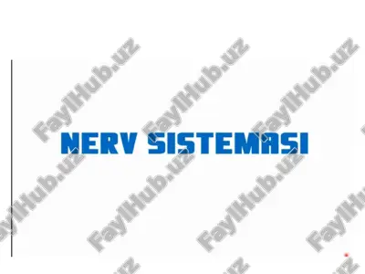 nerv sistemasi — PPTX