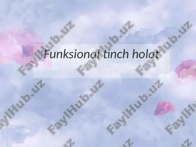funksional tinch holat — PPTX