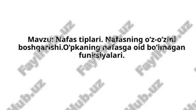 nafas tiplari nafasning o‘z-o‘zini boshqarishi o‘pkaning nafasga oid bo‘lmagan funksiyalari — PPTX