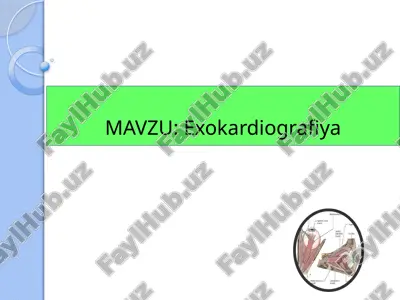 ekokardiografiya — PPTX