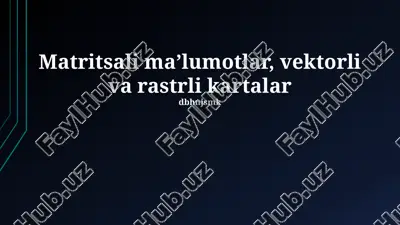 matritsali maʼlumotlar, vektorli va rastrli kartalar — PPTX