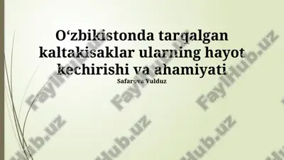 kaltakisaklar hayoti va ahamiyati — PPTX