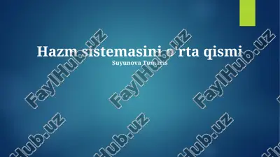hazm sistemasini o'rta qismi — PPTX