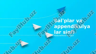 sal'plar va appendikulyalar sinfi — PPTX