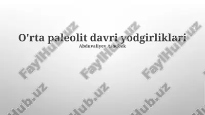 o'rta paleolit davri yodgirliklari — PPTX