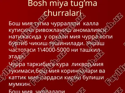 boshmiyatug’machurralari — PPTX