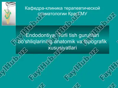 endodontiya — PPTX