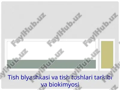 tishblyashka sivi tarkibiy bioqimyosi — PPTX