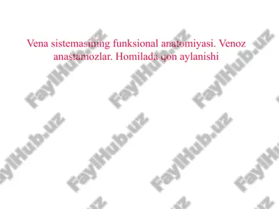 venasistemasining funksional anatomiyasi — PPTX