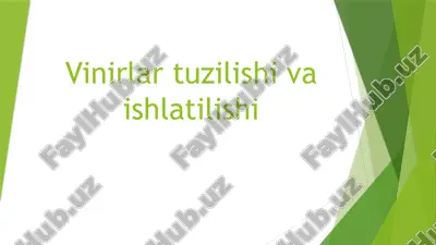 viniri — PPTX