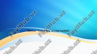 maxillani tushunish — PPTX