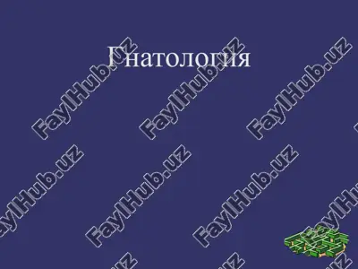 gnatologiya — PPTX