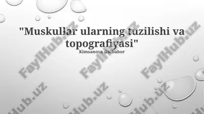 muskullar ularning tuzilishi va topografiyasi — PPTX