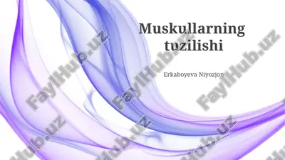 muskullarning tuzilishi — PPTX