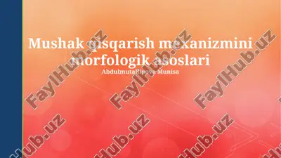mushak qisqarish mexanizmini morfologik asoslari — PPTX