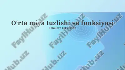oʻrta miya tuzlishi va funksiyasi — PPTX