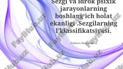 sezgi va idrok — PPTX