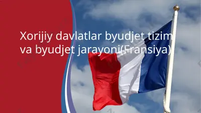xorijiy davlatlar byudjet tizimi va byudjet jarayoni(fransiya) — PPTX