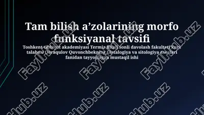 tam bilish aʼzolarining morfo funksiyanal tavsifi — PPTX
