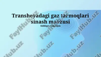 transheyadagi gaz tarmoqlari sinash mavzusi — PPTX