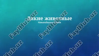 dikie jivotnie — PPTX