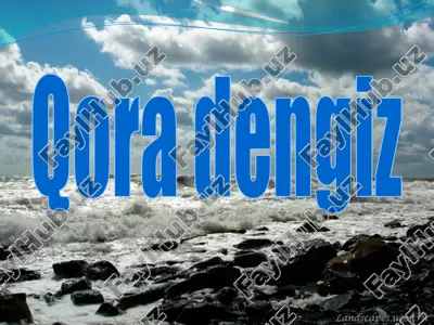 qora dengiz — PPTX