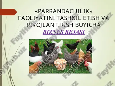 "parrandachilik" faoliyatini tashkil etish varivojlantirish buyicha biznes rejasi — PPT