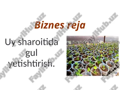 biznes reja uy sharoitida gul yetishtirish — PPTX