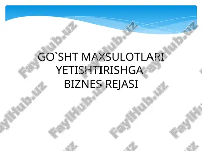 loyixa biznes rejasi — PPT