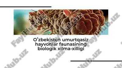 oʻzbekiston umurtqasiz hayvonlar faunasining biologik xilma-xilligi — PDF