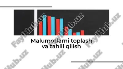 malumotlarni toplash va tahlil qilish — PDF