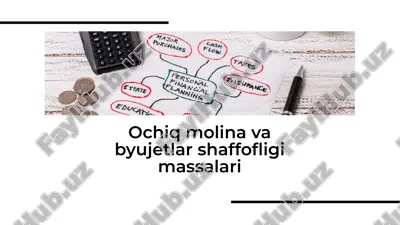 ochiq molina va byujetlar shaffofligi massalari — PDF