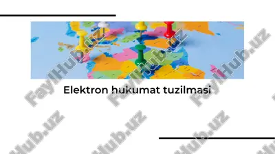 elektron hukumat tuzilmasi — PDF
